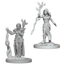 Nolzur's Marvelous Miniatures: Female Human Druid