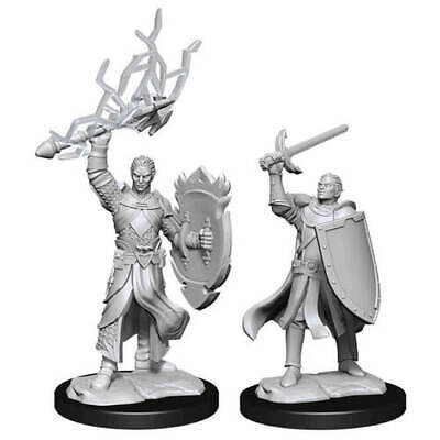 Nolzur's Marvelous Miniatures: Male Half-Elf Paladin