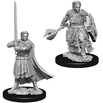 Nolzur's Marvelous Miniatures: Male Human Cleric