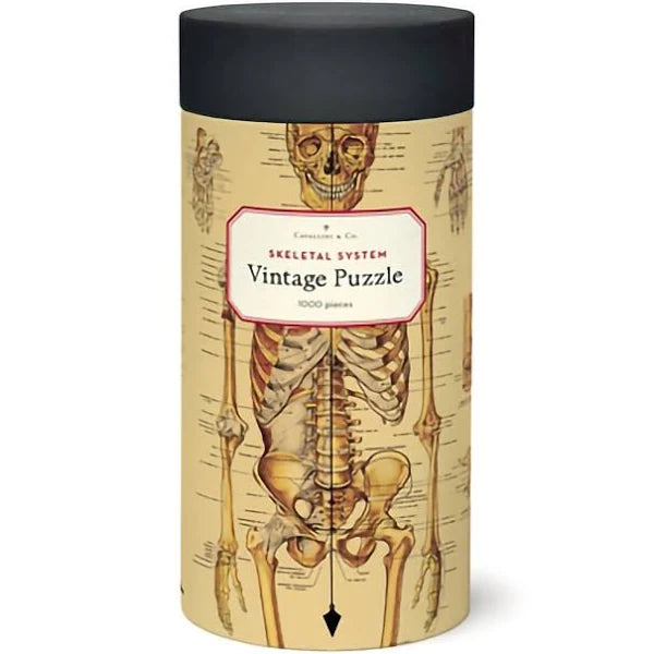 Cavallini Vintage Puzzle: Skeletal System 1000pc
