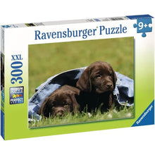 Ravensburger: Bebes Labrador 300pc