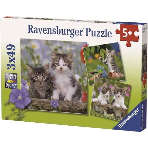 Ravensburger: Kittens 3x49pc
