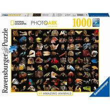 Ravensburger: Stunning Animals 1000pc