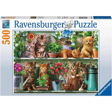 Ravensburger: Cats on a Shelf 500pc