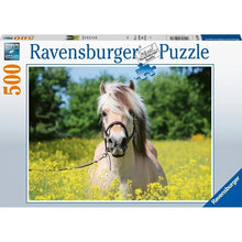 Ravensburger: White Horse 500pc