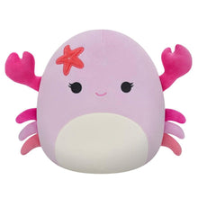 Squishmallows: 7.5" Cailey the Crab