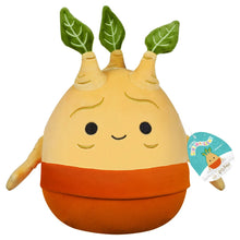 Squishmallows 10" Harry Potter - Mandrake