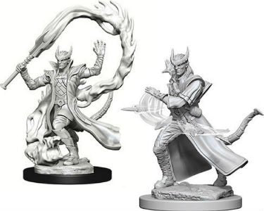 Nolzur's Marvelous Miniatures: Male Tiefling Sorcerer