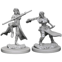 Nolzur's Marvelous Miniatures: Female Human Monk