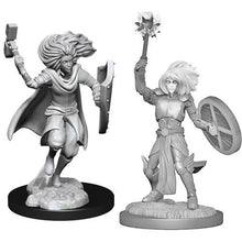 Nolzur's Marvelous Miniatures: Changeling Cleric