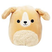 Squishmallows: 8" Stevon