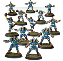 Blood Bowl: Human Team - The Reikland Reavers